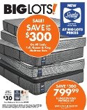Big Lots Weekly October 19 - 26, 2019 Logo