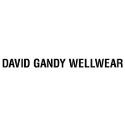 David Gandy Wellwear