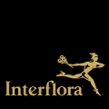 Interflora Discount Codes