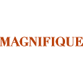Magnifique coupons