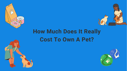 How much does it really cost to own a pet?