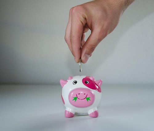 Les consommateurs les plus économes du monde